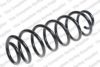 ROC CS8022 Coil Spring